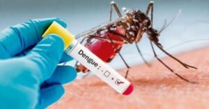 Epidemia de dengue no Brasil (Foto: Reprodução)