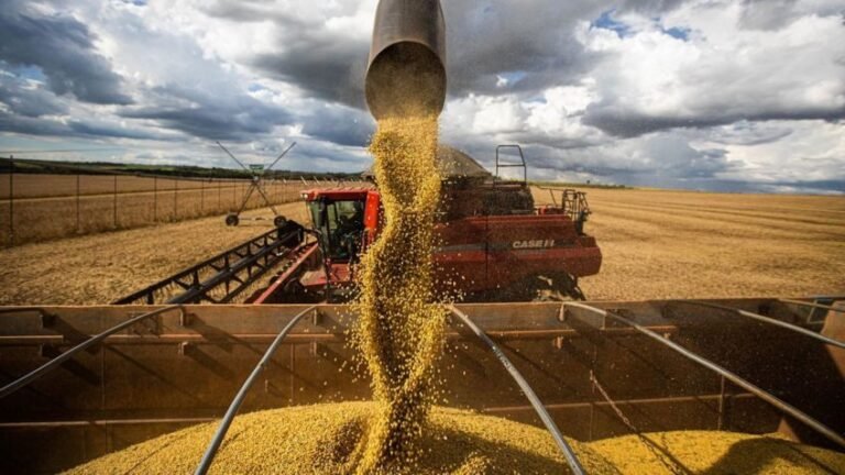 Estados com grande produção agropecuária poderão criar imposto sobre agronegócio (foto: reprodução - Tag Notícias)