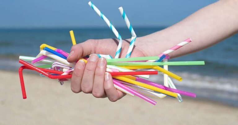 Canudos de papel ou bambu podem não ser tão sustentáveis (Foto: Reprodução)