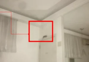 Rato foi encontrado pelo casal na parede do quarto do motel — Foto: Reprodução
