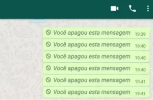 Mensagens apagadas do WhatsApp (Foto: Reprodução)