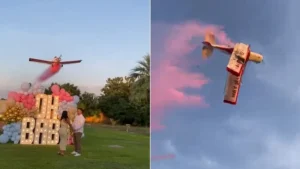 Avião se parte e cai durante chá revelação no México (Foto: Reprodução)