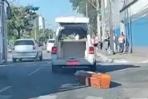 Vídeo mostra caixão caindo (Foto: Reprodução)
