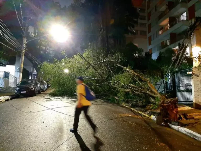 Árvore e galhos caídos na Rua Maria Figueiredo, no Paraíso, após vendaval e chuva forte na tarde de sexta-feira Foto: Alexandre Calais/Estadão / Estadão