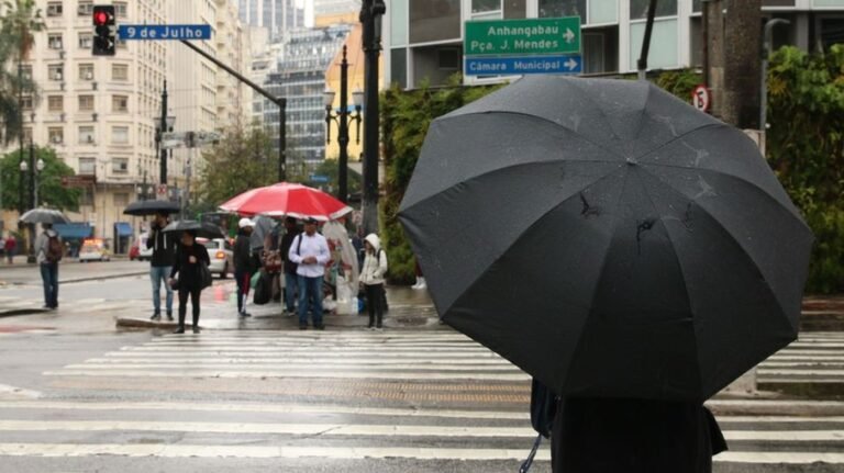 Semana em São Paulo Começa com Temperaturas Amenas (Foto: Reprodução)