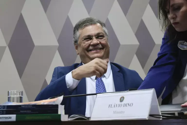 Plenário do Senado aprova indicação de Flávio Dino ao STF (Foto: Edilson Rodrigues/Agência Senado)