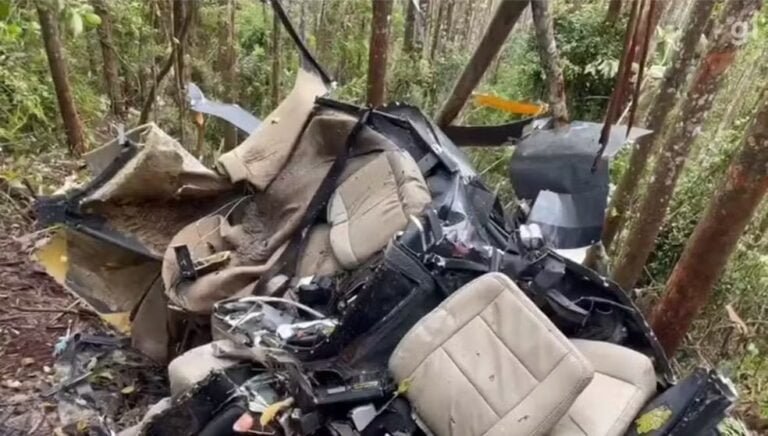 Helicóptero que caiu em área de mata em SP ficou completamente destruído (Foto: Reprodução)