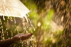 Fevereiro Começa com Calor Intenso e Previsão de Chuva em Todo o Brasil (foto: reprodução)