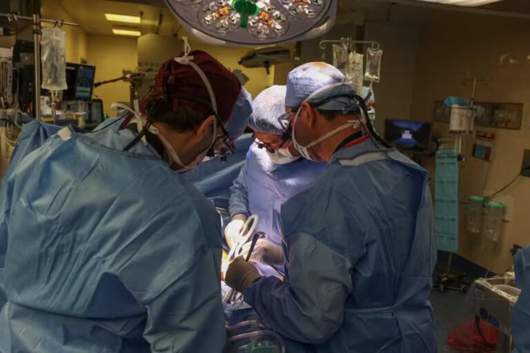 Primeiro transplante de rim de porco em uma pessoa viva (Foto: Massachussets General Hospital)
