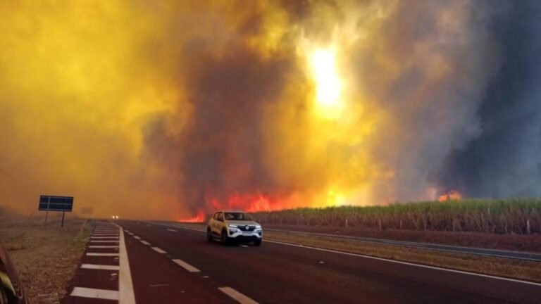 48 Cidades de São Paulo em Alerta Máximo para Incêndios (Foto: Reprodução)